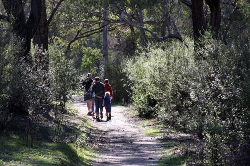 People walking on a trail surrounded by bush. 