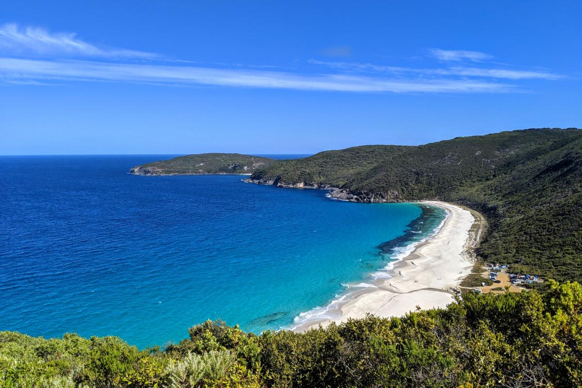 View of Shelley Beach and Torbay Head from Shelley Beach Lookout on a clear blue-sky day
