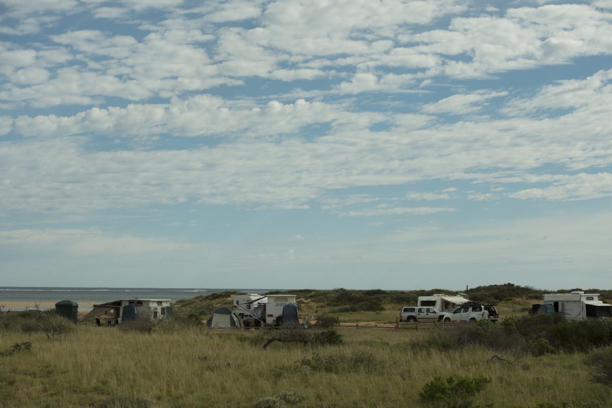 View of people camping 
