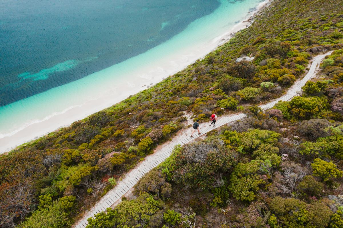 Aerial view of two people hiking on a trail through low bush with the ocean off to one side. 