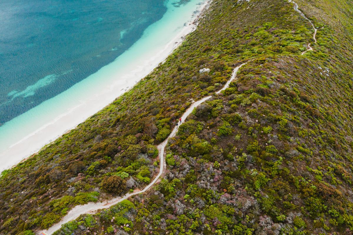 Aerial view of two people hiking on a trail through low bush with the ocean off to one side. 