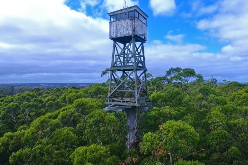 Historical fire lookout tower at the top of the Diamond Tree