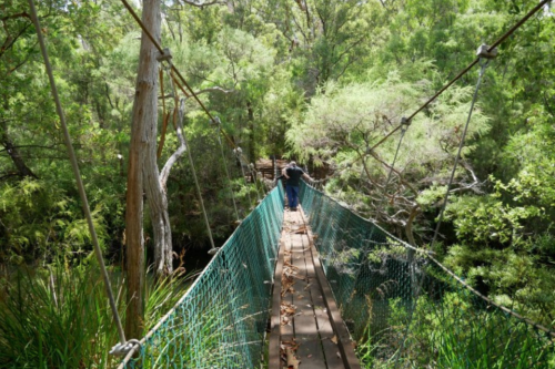 Two people standing on a suspension bridge in the forest 