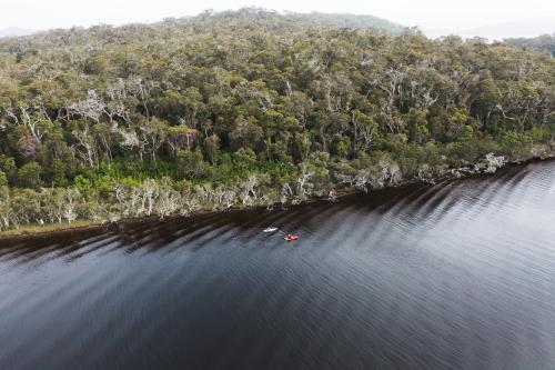 Aerial view of two people kayaking in water near a forest of trees. 