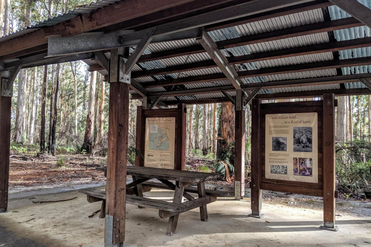 Picnic shelter and signs in karri forest