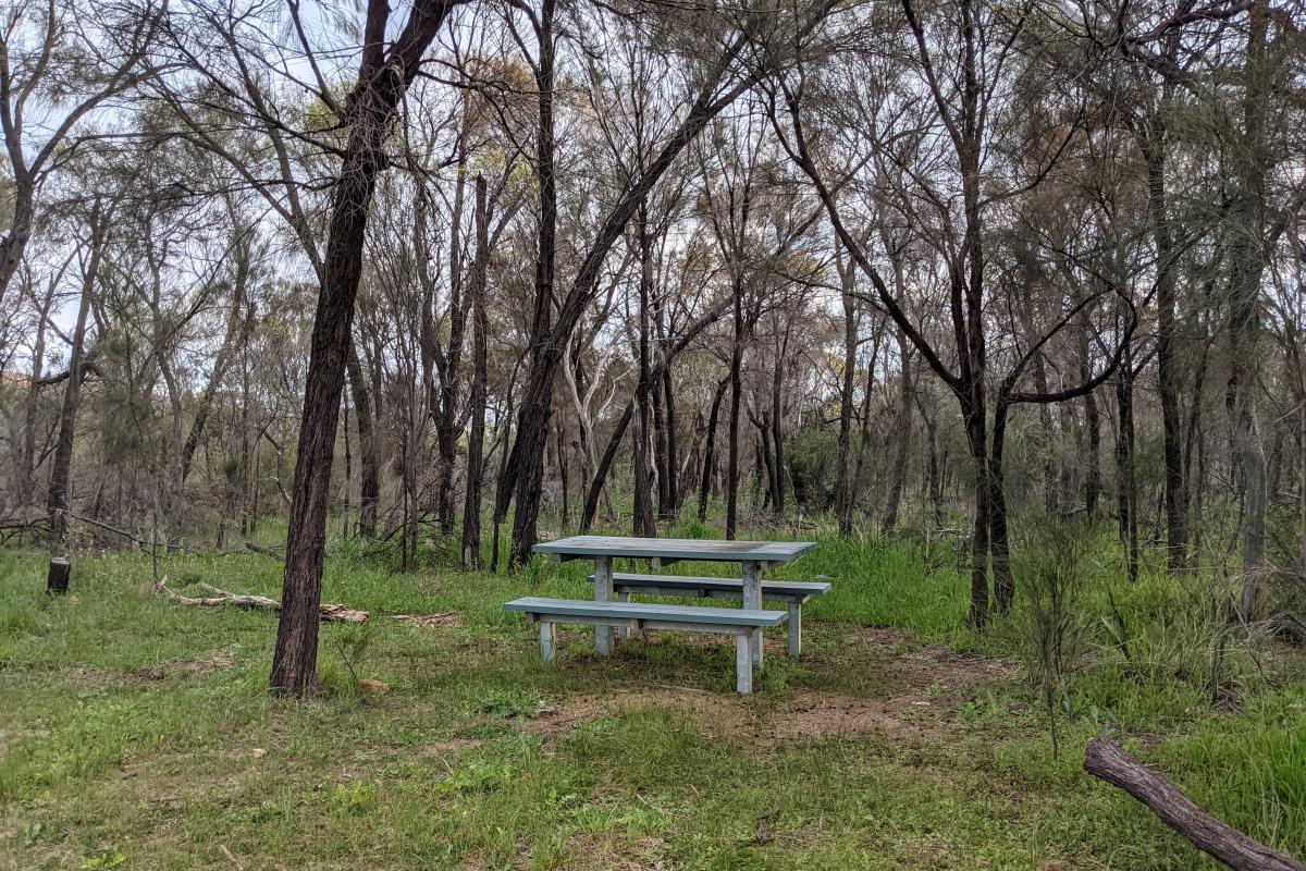 Picnic bench in grassy clearing