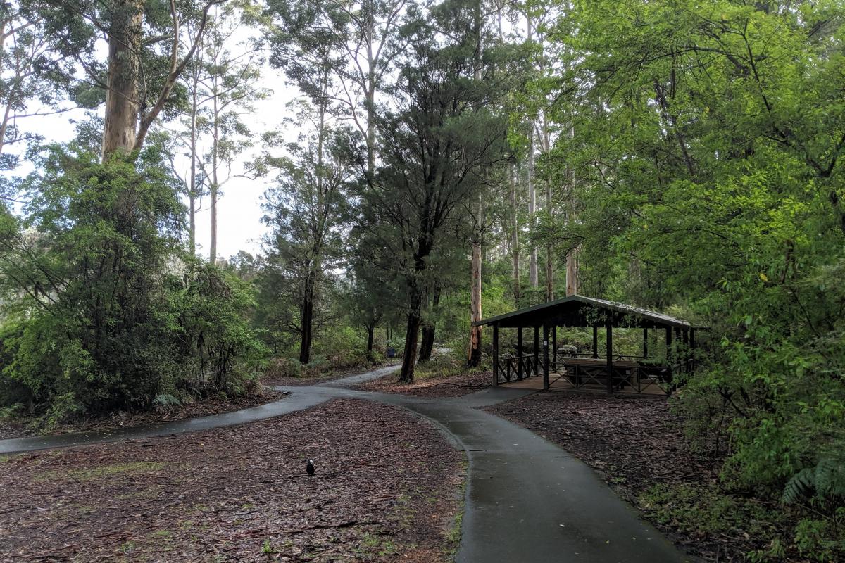 Picnic shelter and paved pathways in the forest next to Big Brook Dam