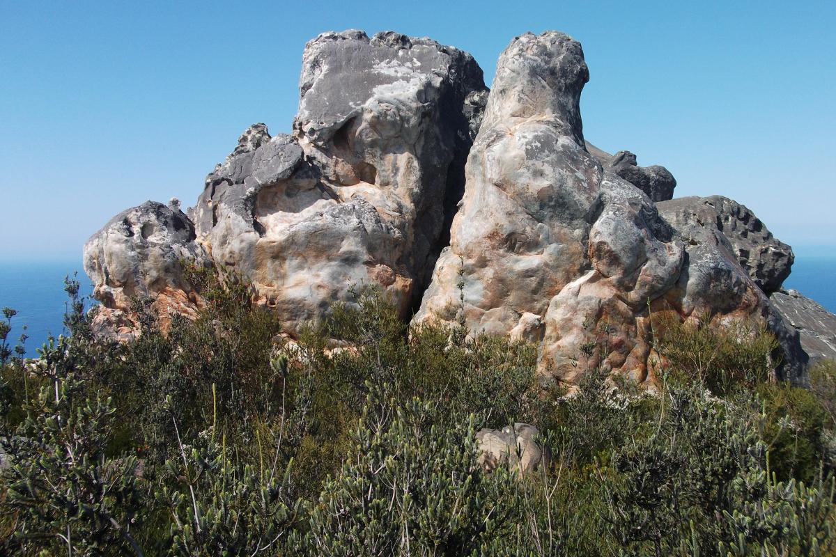 view of an imposing rock formation rising up from dense vegetation with the ocean in the background 