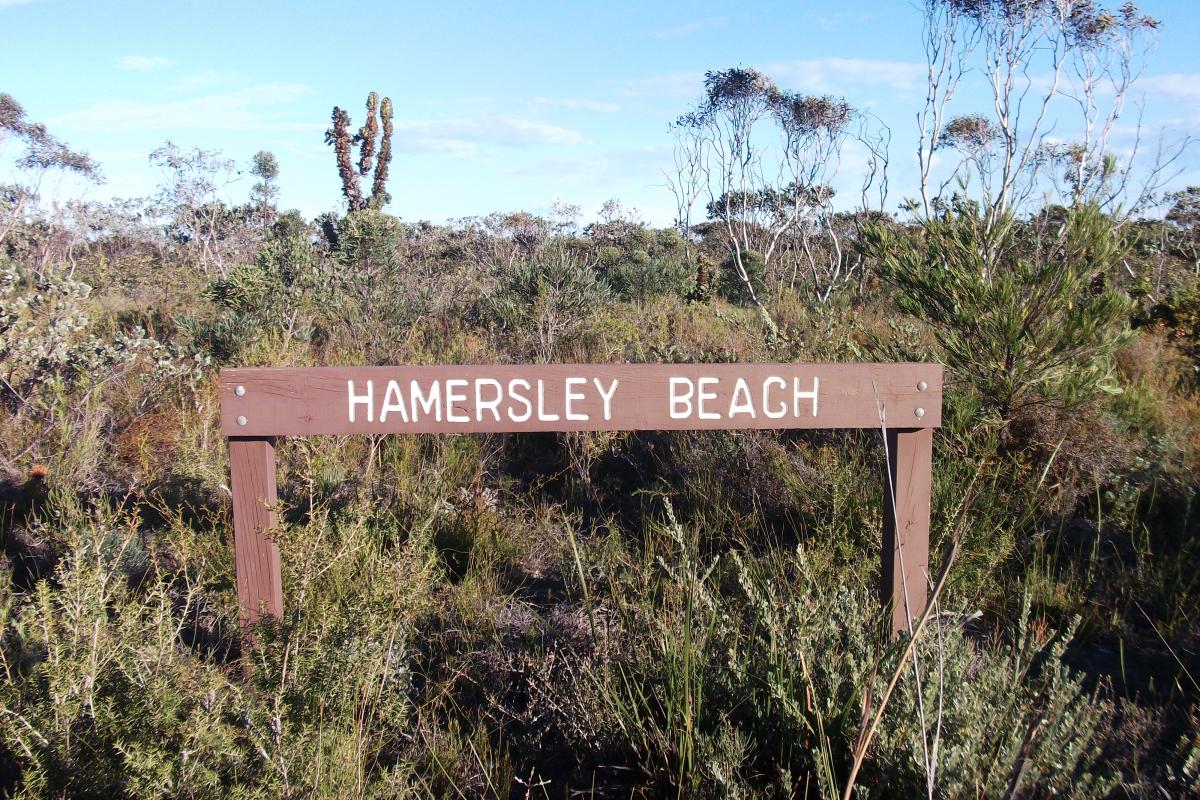 wooden visitor sign for Hamersley Beach with dense vegetation beyond
