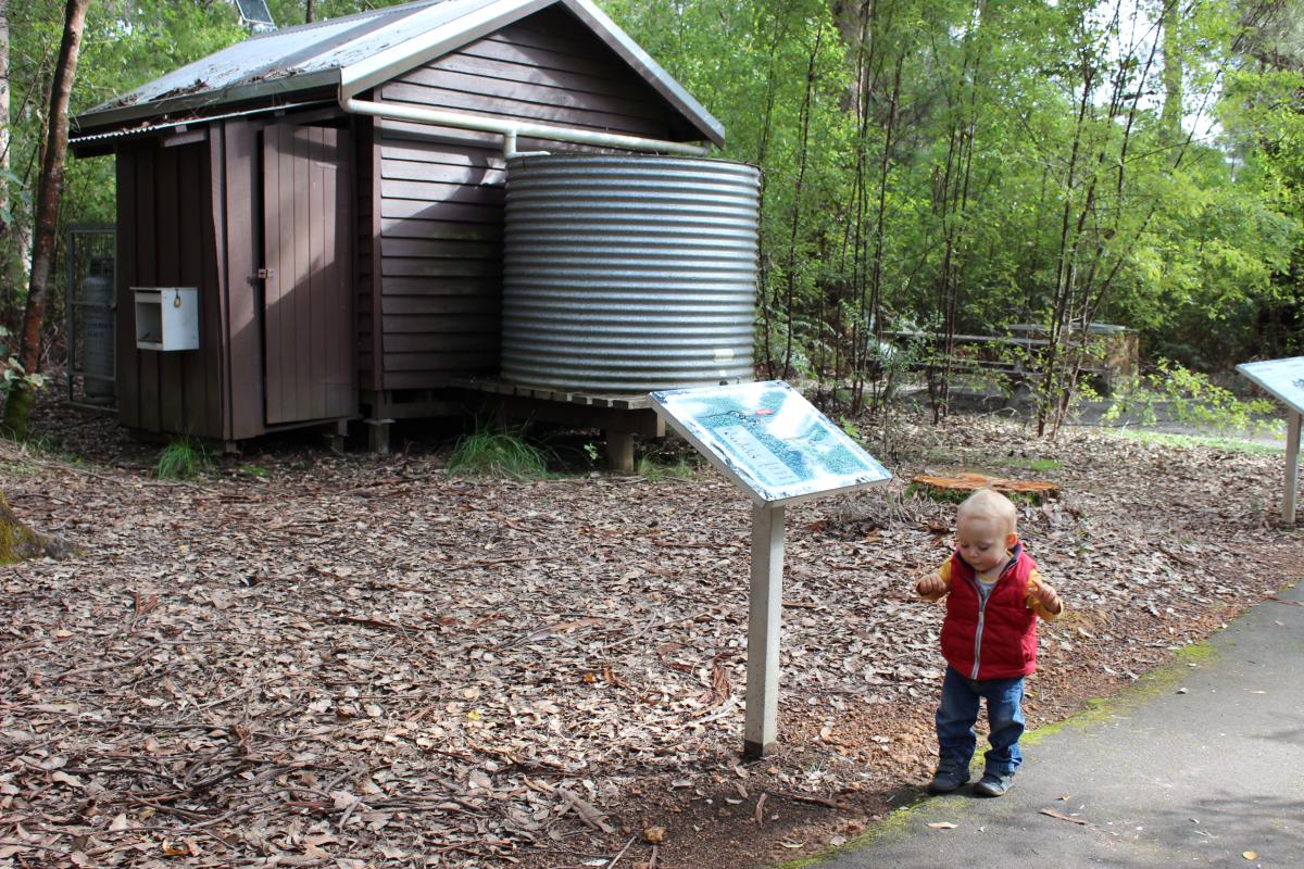 toddler standing in front of an interpretive sign with a hut and rainwater tank in the background