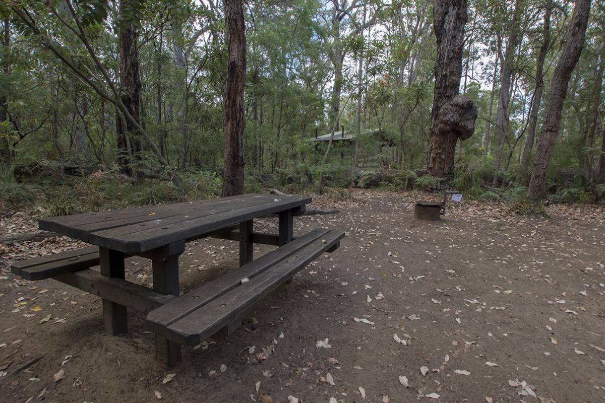 picnic table in a clearing surrounded by forest