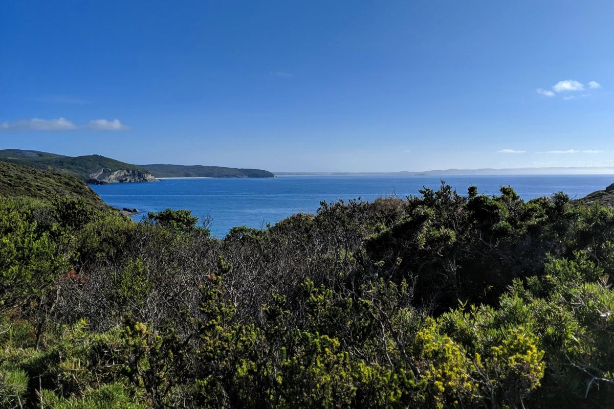 View towards Shelley Beach and Torbay from West Cape Howe National Park
