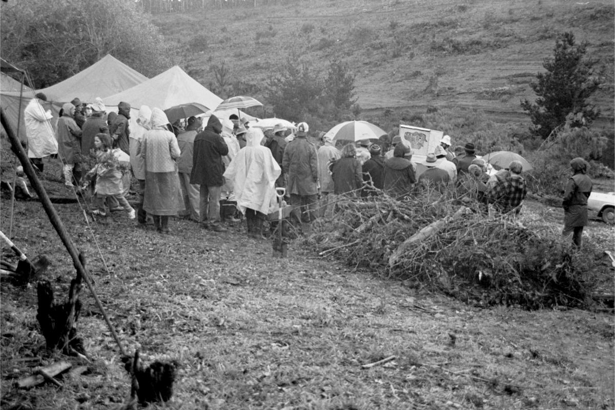 crowds of people planting trees in the rain