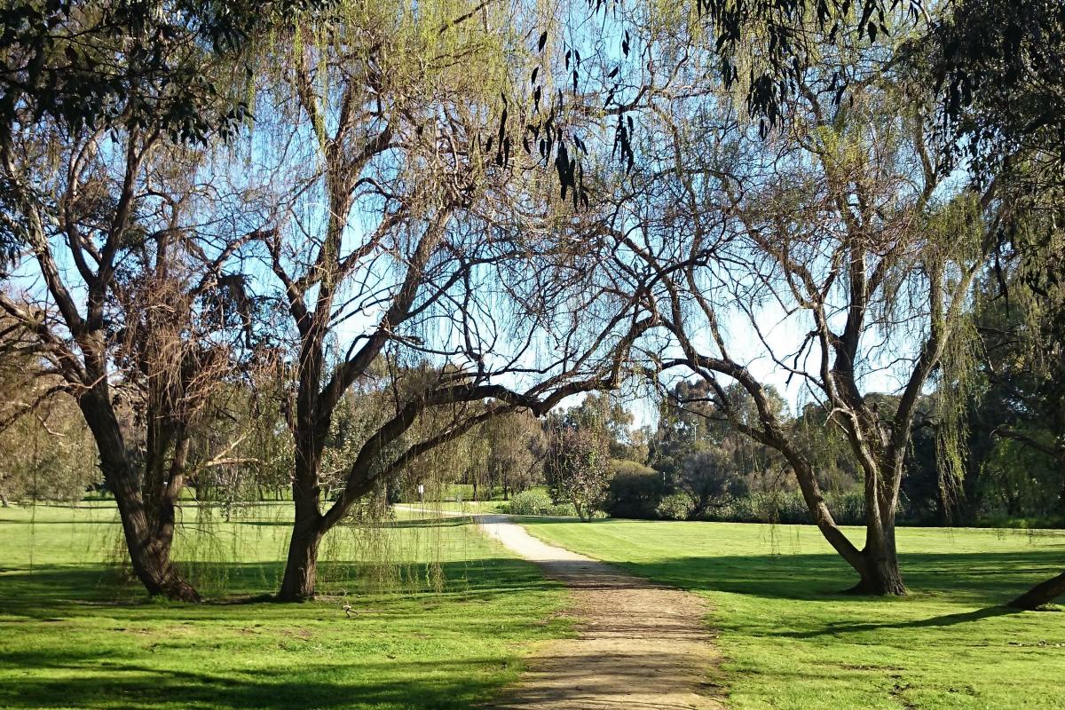 An unsealed path passes beneath trees and across a broad grassed area.