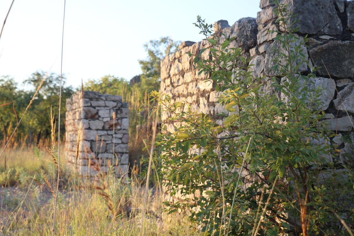 ruins at lillimooloora