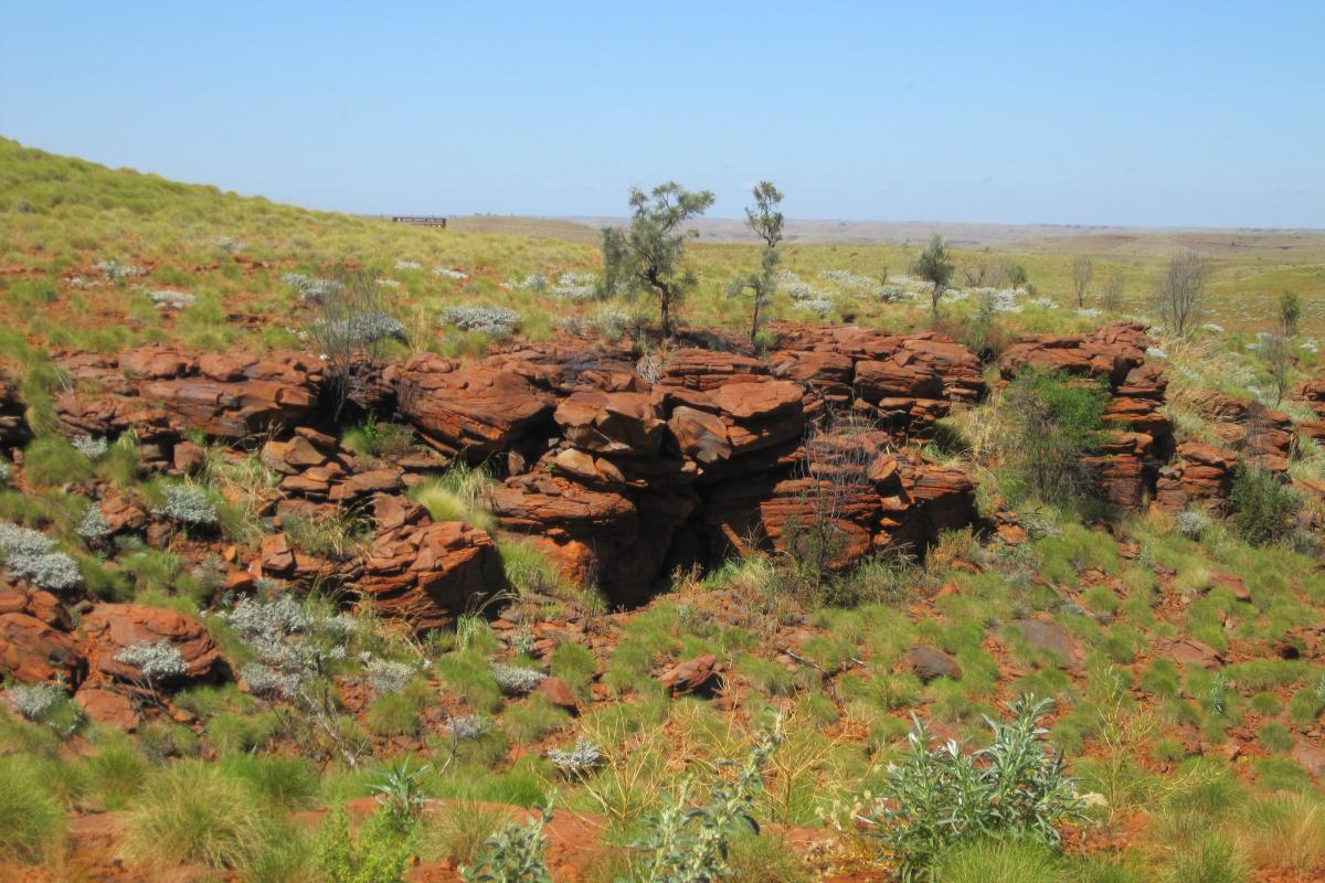 View of the outback landscape from Mount Herbert