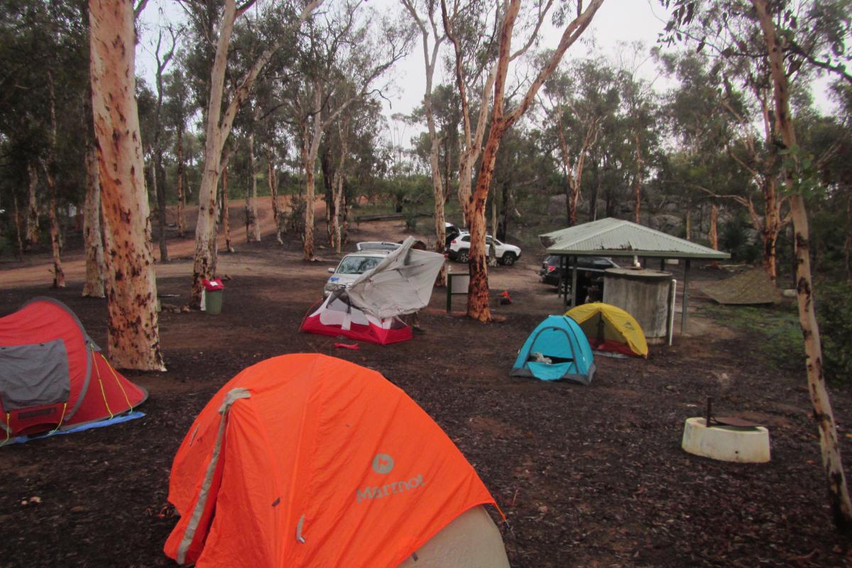 Tents at Bald Hill Campground