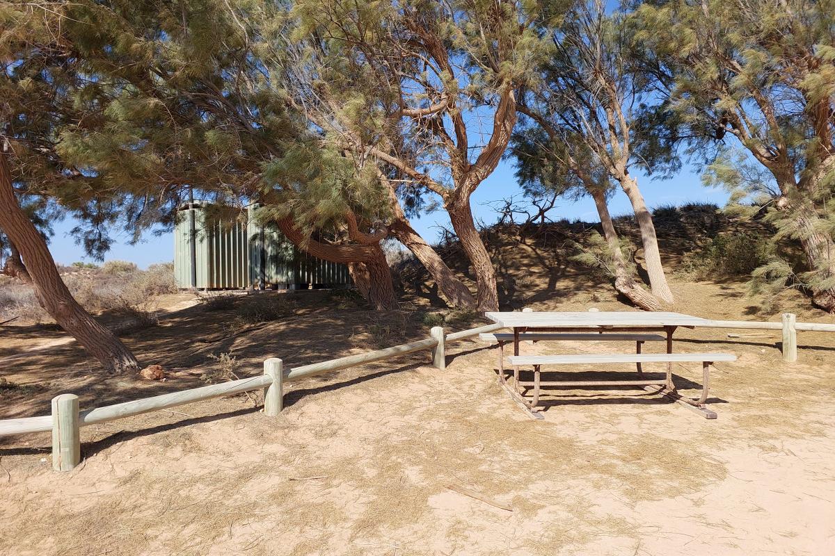 Picnic area at Neds Campground