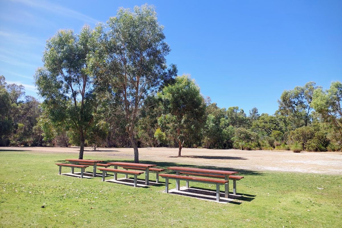 Picnic benches in the open grassed area at Henry White Campground